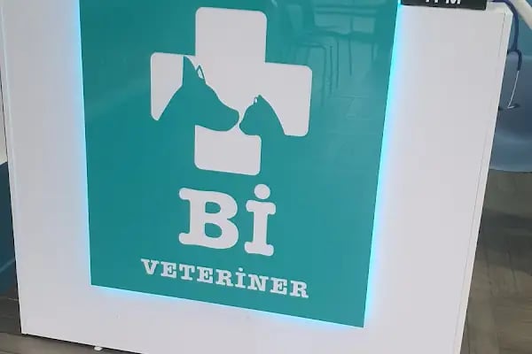 Bi Veteriner Kliniği - Resim 11