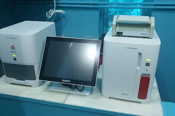 Bi Veteriner Kliniği - Resim 12