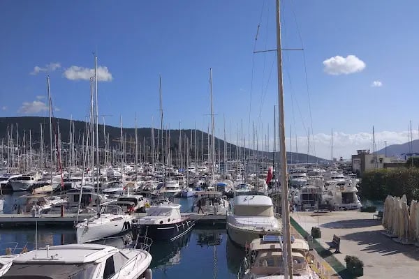 Milta Bodrum Marina - Resim 6