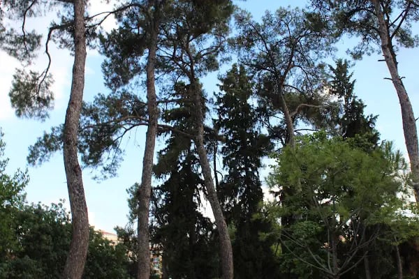 İzmir Büyükşehir Belediyesi Hasanağa Bahçesi - Resim 12