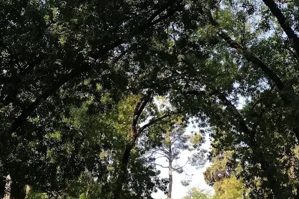 İzmir Büyükşehir Belediyesi Hasanağa Bahçesi - Resim 17