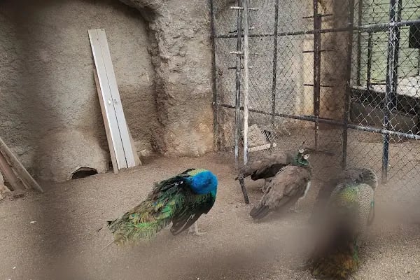 İzmir Büyükşehir Belediyesi Hasanağa Bahçesi - Resim 14