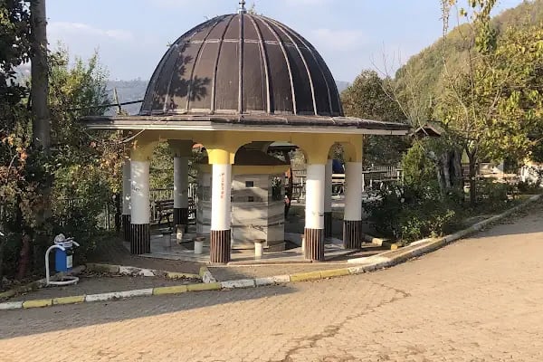 Servetiye Camii Köyü Muhtarlığı - Resim 6