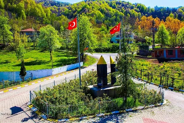 Servetiye Camii Köyü Muhtarlığı - Resim 15