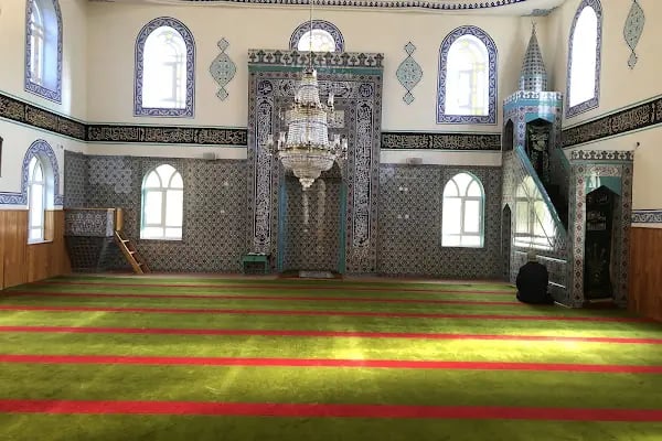 Servetiye Camii Köyü Muhtarlığı - Resim 19