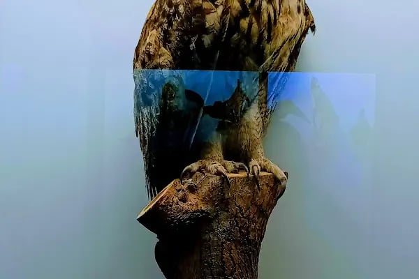 Doğa Bilim Müzesi - Resim 16