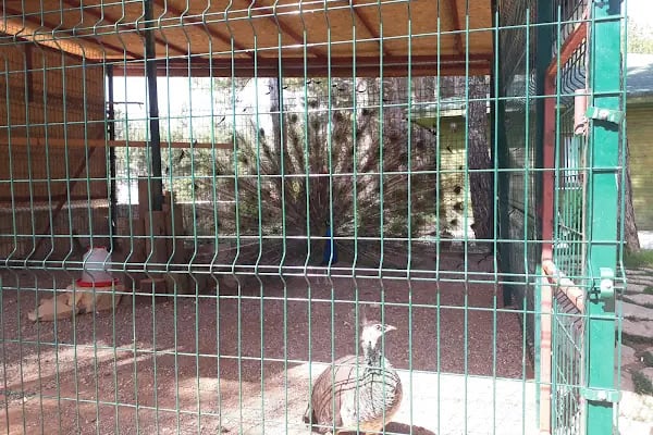 Dulkadiroglu Hayvanat Bahçesi - Resim 4