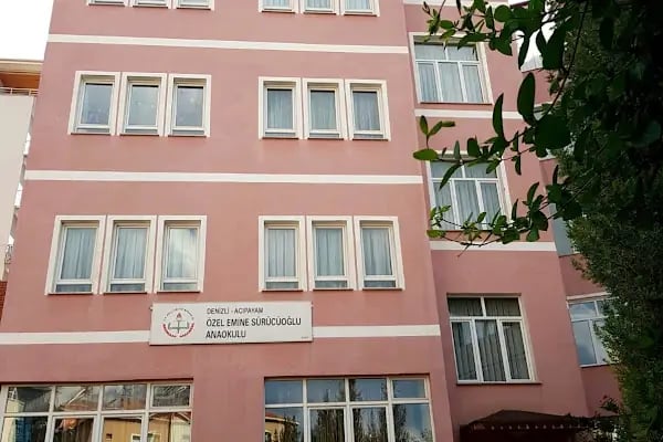 ÖZEL EMİNE SÜRÜCÜOĞLU ANAOKULU - Resim 5