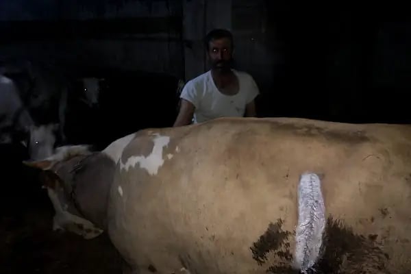 GÖKTAŞ VETERİNER KLİNİĞİ - Resim 19