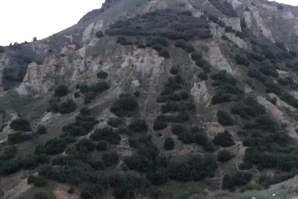 Balıkesir Mermer Ayan Mermer Granit - Resim 16