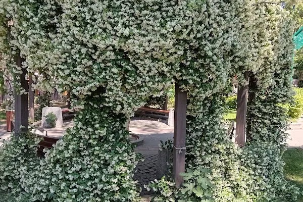 Şehit Turhan Bayraktar Parkı - Resim 20