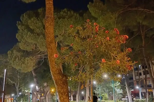 Şehit Turhan Bayraktar Parkı - Resim 18