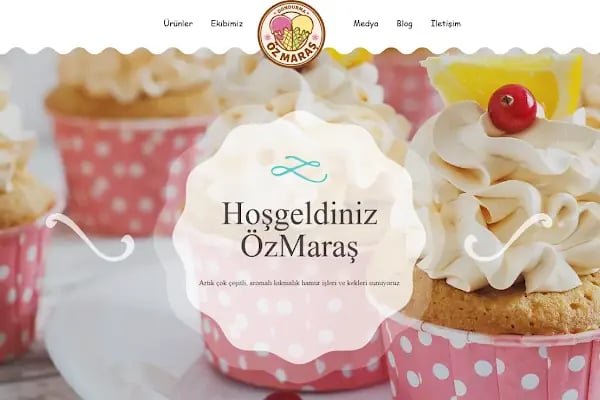 Arifiye Web Tasarım - Logo Tasarımı - Kurumsal Websitesi - Google Ads Reklam Ve Harita Kaydı - Resim 5