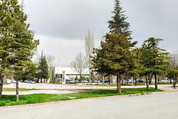 Selçuk Üniversitesi - Resim 18