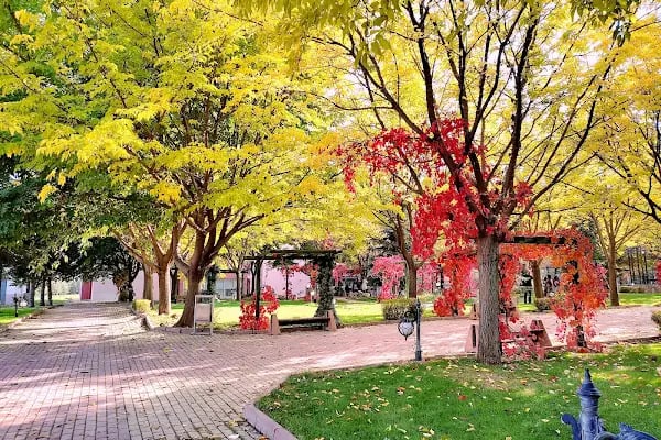 Selçuk Üniversitesi - Resim 10