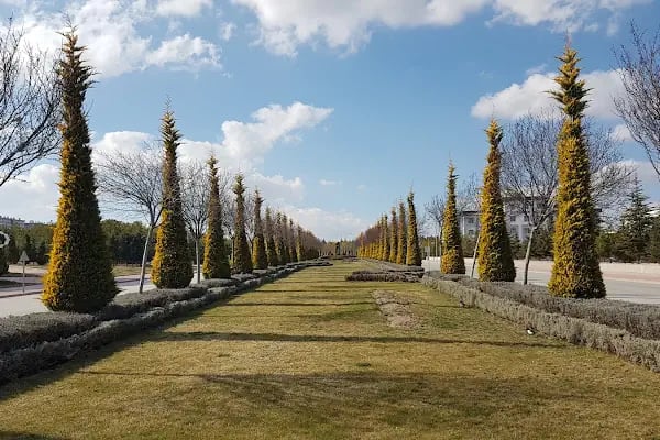 Selçuk Üniversitesi - Resim 17