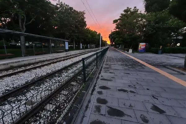 Selçuk Üniversitesi - Resim 2