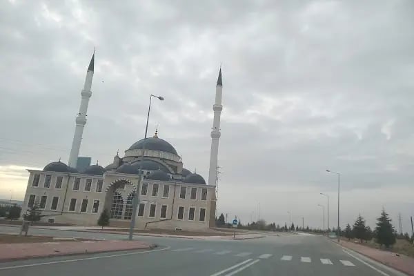Selçuk Üniversitesi - Resim 5