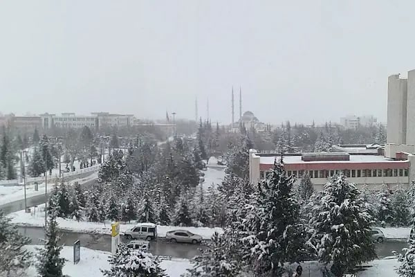 Selçuk Üniversitesi - Resim 14