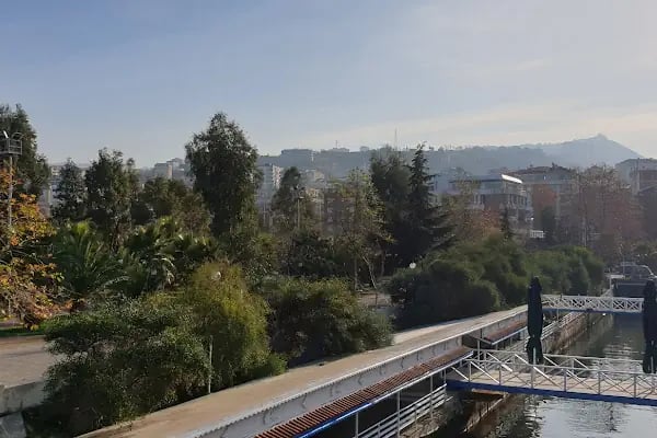 Akçaabat Belediye Balık Pazarı - Resim 1