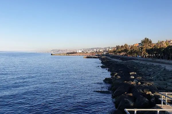 Akçaabat Belediye Balık Pazarı - Resim 11