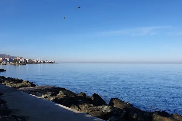 Akçaabat Belediye Balık Pazarı - Resim 7