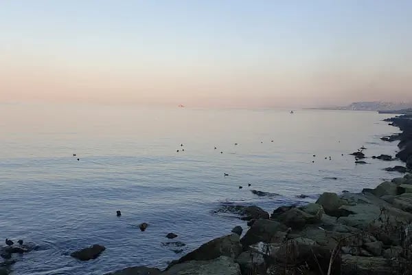 Akçaabat Belediye Balık Pazarı - Resim 10