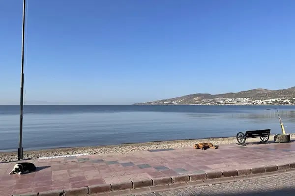 Otel Samyeli - Resim 3