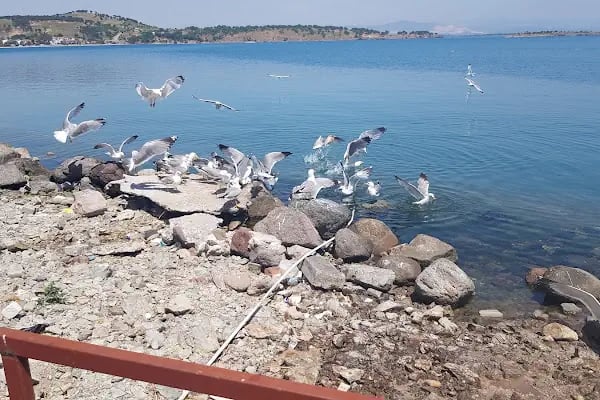 Otel Samyeli - Resim 19