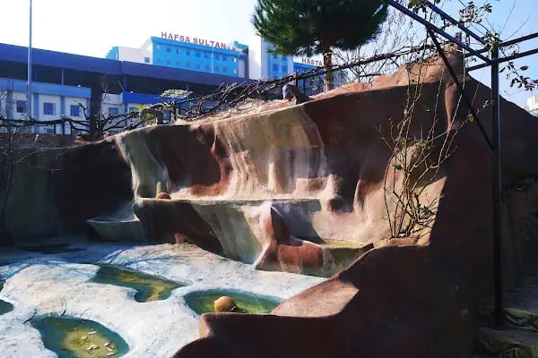 Manisa Celal Bayar Üniversitesi, Tıp Fakültesi - Resim 19