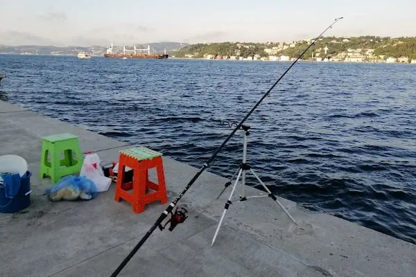 Emirgan İskelesi - Resim 8
