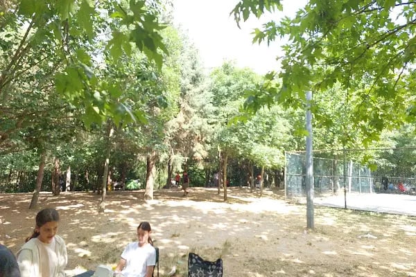 Başiskele Kamp ve Piknik Alanı - Resim 6
