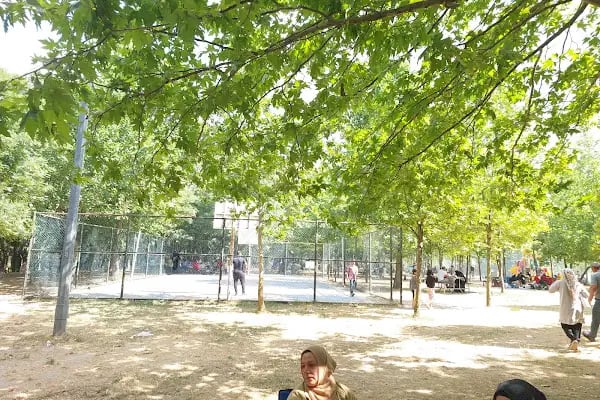 Başiskele Kamp ve Piknik Alanı - Resim 5