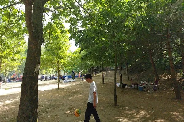 Başiskele Kamp ve Piknik Alanı - Resim 4
