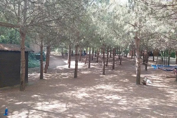 Başiskele Kamp ve Piknik Alanı - Resim 3