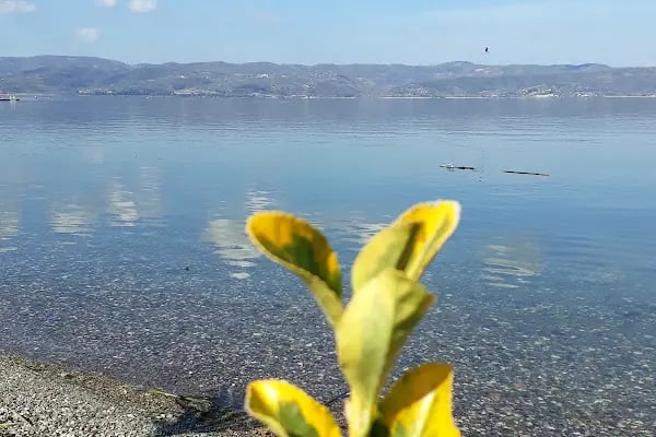 Sapanca Belediyesi Düğün Salonu - Resim 17