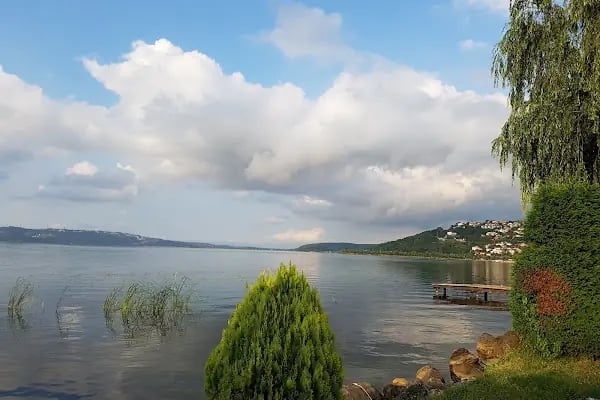 Sapanca Belediyesi Düğün Salonu - Resim 4
