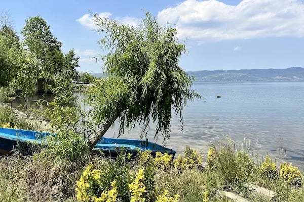 Sapanca Belediyesi Düğün Salonu - Resim 2