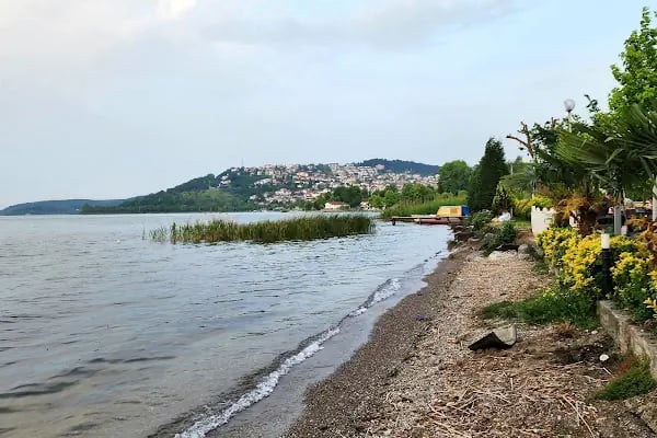 Sapanca Belediyesi Düğün Salonu - Resim 1