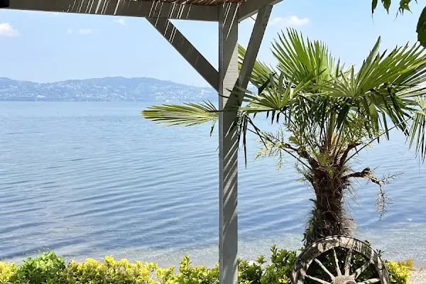 Sapanca Belediyesi Düğün Salonu - Resim 12