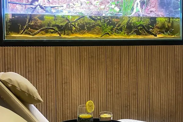 Qualitasspa İzmir Agamemnon Thermal &amp; Wellness Center - Resim 9