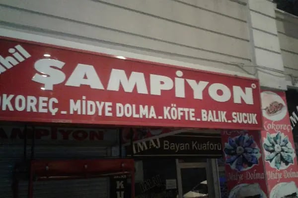 Sahil ŞAMPIYON - Resim 16