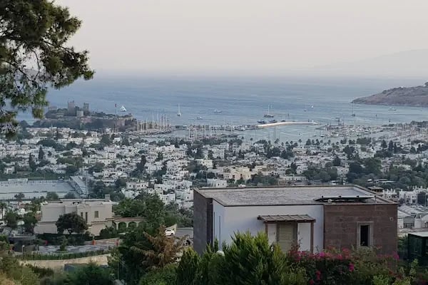 Kaledos Evleri - Resim 3