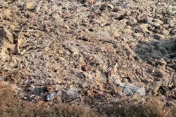 Kent Ormanı İç Yolları - Resim 17