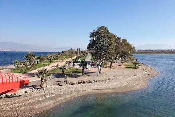 Kent Ormanı İç Yolları - Resim 9