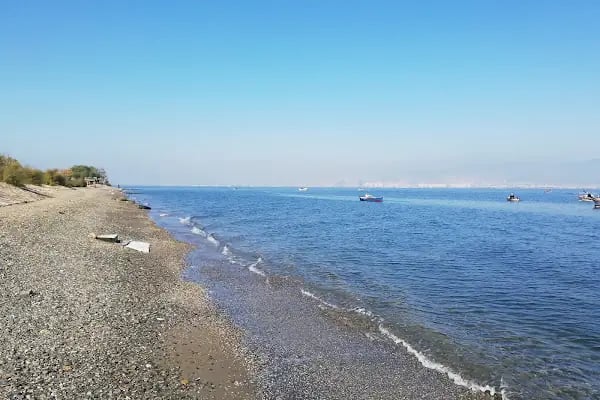 Kent Ormanı İç Yolları - Resim 5