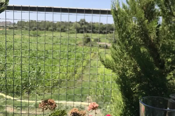 Veli Baba Kahvaltı, Gözleme, Bal ve Apiterapi Dogal Ürünler - Resim 10