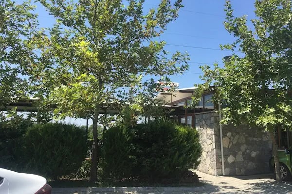Veli Baba Kahvaltı, Gözleme, Bal ve Apiterapi Dogal Ürünler - Resim 18