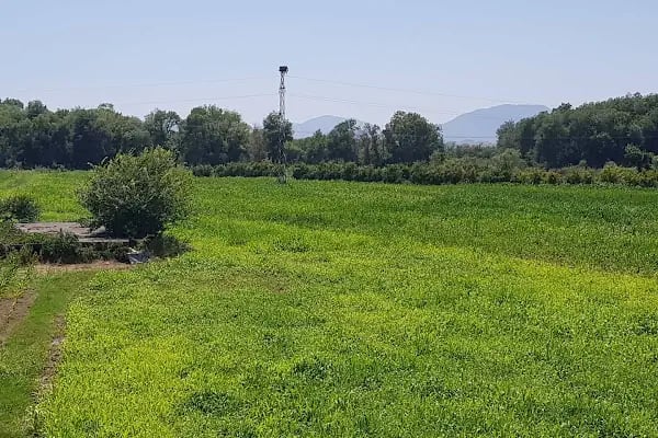 Veli Baba Kahvaltı, Gözleme, Bal ve Apiterapi Dogal Ürünler - Resim 12