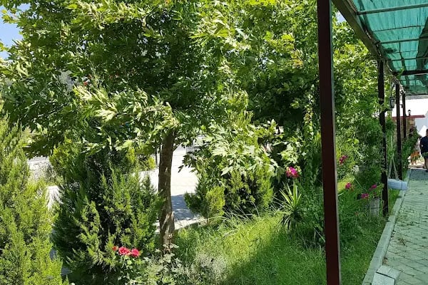 Veli Baba Kahvaltı, Gözleme, Bal ve Apiterapi Dogal Ürünler - Resim 16